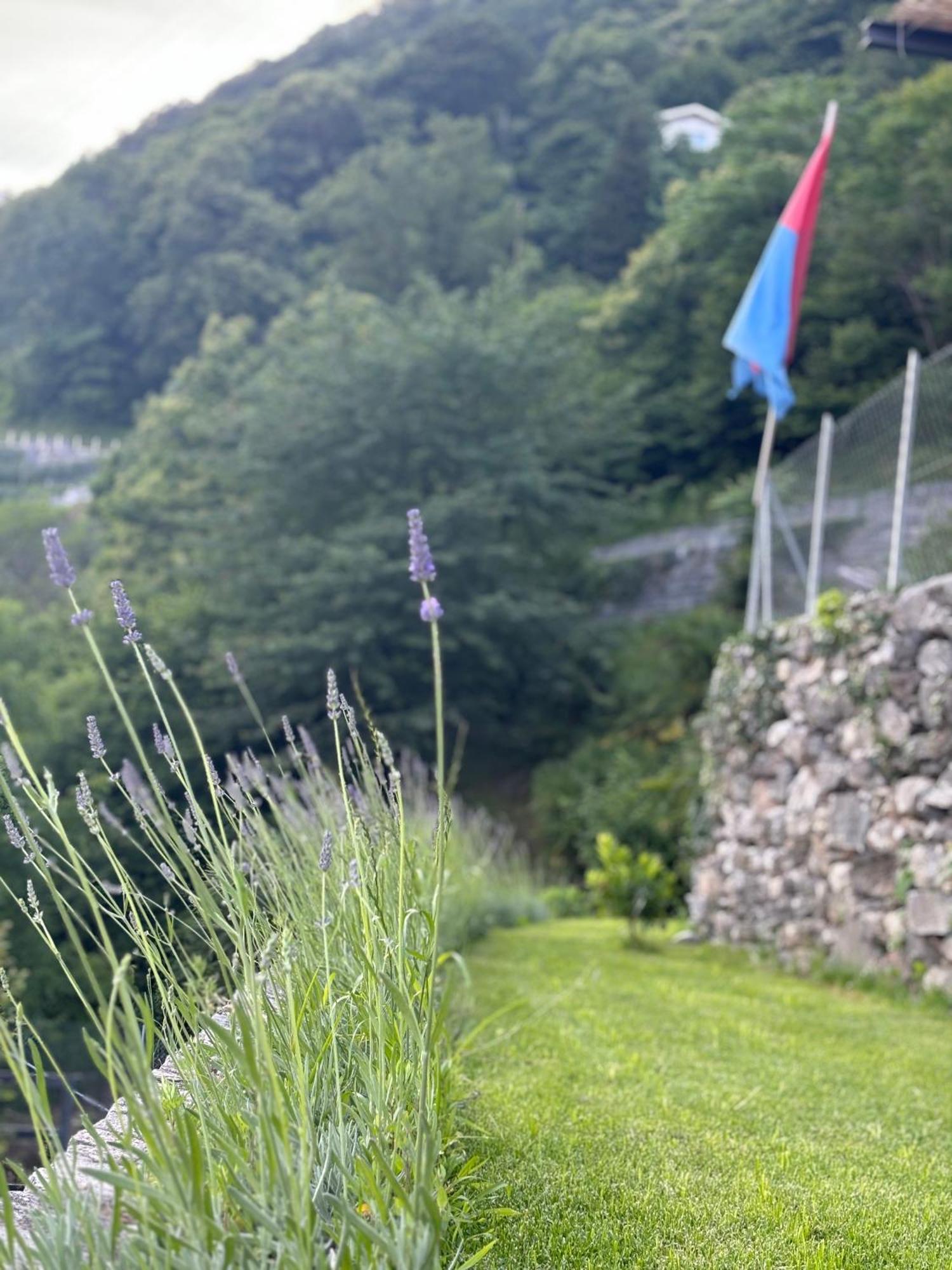 Ca'Gialla Bellinzona Exterior foto